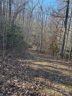 Lot 41 S Country Club Drive active lot in Forest Hills, Cullowhee, NC