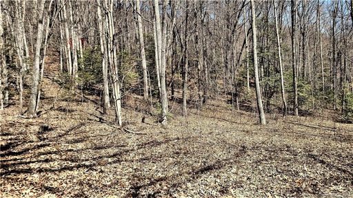 0000 Parchment Lane 5-4 sold lot in Hemlock Falls, Sylva, NC