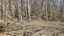 0000 Parchment Lane 5-4 sold home in Sylva, SC