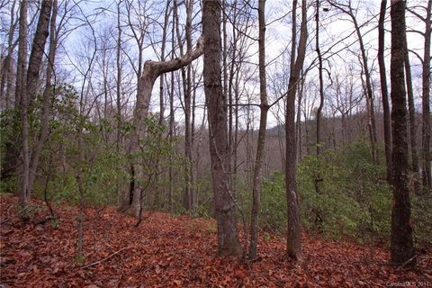 Lot 18 Crystal Creek Drive sold lot in Crystal Creek, Pisgah Forest, NC