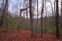 Lot 18 Crystal Creek Drive sold home in Pisgah Forest, SC