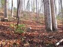 00 Sandpiper Palisades Street 98 sold home in Hendersonville, SC
