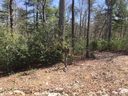 90 Dusky Court 25 sold home in Hendersonville, SC