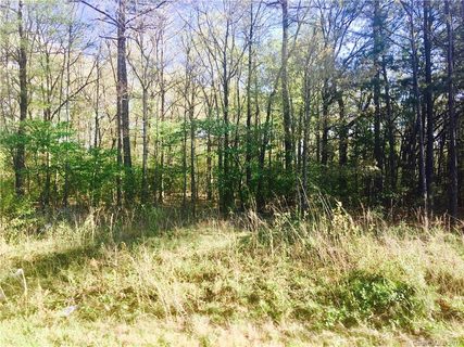 Lot 15 Citrus Drive