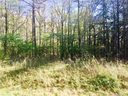 Lot 15 Citrus Drive sold home in Monroe, SC