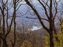 169 Skycliff Drive sold home in Asheville, SC