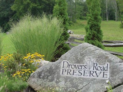 107 Nancy Ashworth Lane 9 sold home in Drovers Road Preserve, Fairview, NC