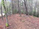 12 Rock Moss Drive sold home in Cullowhee, SC