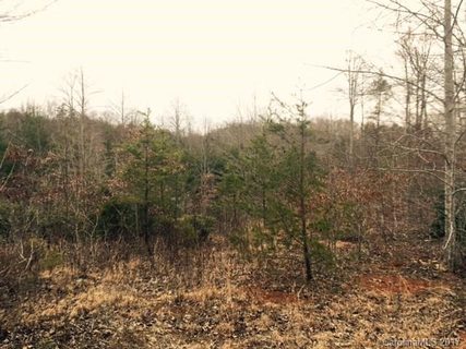 Lot 40 Foresight Lane