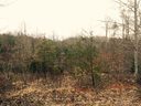 Lot 40 Foresight Lane sold home in Lake Lure, SC