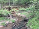 104 Mill Creek Court 77 sold home in Morganton, SC