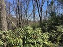 M80 Pine Mountain Trail sold home in Brevard, SC