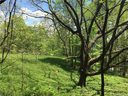 00 Walnut Creek Road 21 sold home in Waynesville, SC