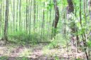Lot2 Hosta Lane sold home in Hendersonville, SC