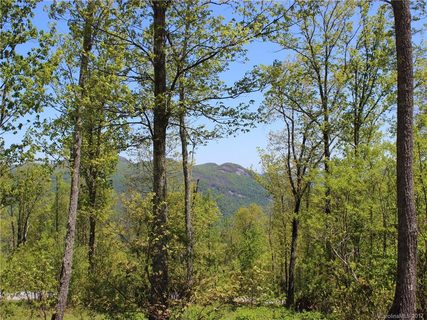 Lot 37 Grand Oaks Drive