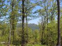 Lot 37 Grand Oaks Drive sold home in Hendersonville, SC