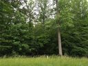 7180 Empire Drive sold home in Mount Pleasant, SC