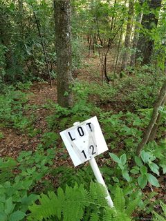 101 Sugar Creek Drive Lot # 12 sold lot in Sugar Creek, Cedar Mountain, NC