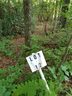101 Sugar Creek Drive Lot # 12 sold home in Cedar Mountain, SC