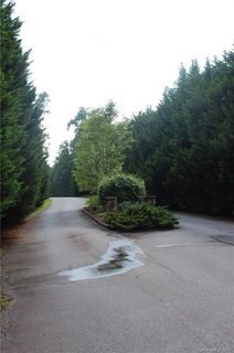 Lot 7 Flat Branch Trail sold lot in Hemlock Crossing, Mill Spring, NC