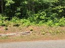 000 Crestview Acres Road 5 sold home in Statesville, SC