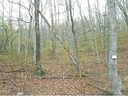 80 Whiteside Trail sold home in Hendersonville, SC