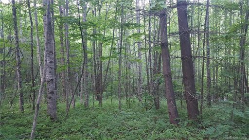 Lot 19 Little Creek Lane sold lot in Hooter Hollow, Maggie Valley, NC