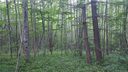 Lot 19 Little Creek Lane sold home in Maggie Valley, SC