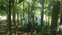 Lot 37 Elysian Drive sold home in Mooresville, SC