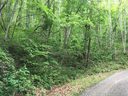 9999 Merrills Chase Road sold home in Asheville, SC