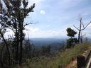 7086 Silver Creek Lane Lot 21 sold home in Morganton, SC