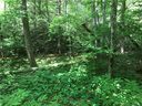 000 W Woodland Trail 3 sold home in Hendersonville, SC