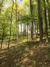 3860 Skyuka Mountain Road 18 sold home in Columbus, SC
