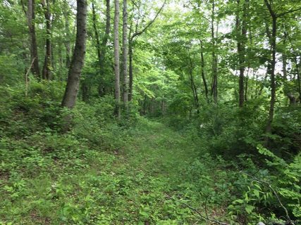 9999 Skipstone Road sold lot in Merrills Chase, Asheville, NC