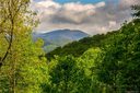 177 High Hickory Trail Trail lot 7 sold home in Swannanoa, SC