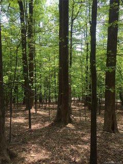 3861 Skyuka Mountain Road 16