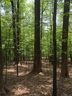 3861 Skyuka Mountain Road 16 sold home in Columbus, SC