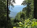 Lot 22 Red Wolf Run None sold home in Mars Hill, SC