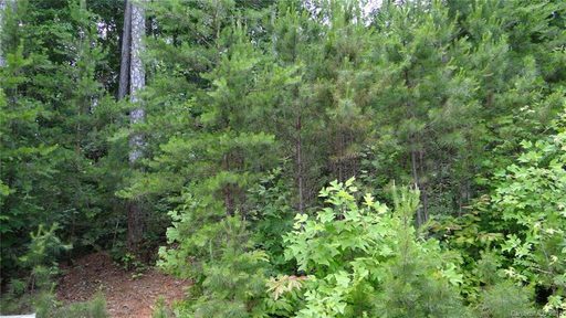 162 Rushing Water Lane 12 sold lot in Twin Creek Estates, Troutman, NC