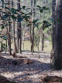 Lot 36 Fern Drive
