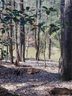 Lot 36 Fern Drive sold home in Mount Gilead, SC