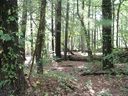 000 Toms Hill Drive 104 sold home in Hendersonville, SC