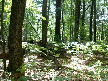 000 Toms Hill Drive 103 sold lot in Toms Hill, Hendersonville, NC