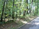 000 Toms Hill Drive 102 sold home in Hendersonville, SC