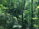 240 Lakey Gap Acres Road sold home in Black Mountain, SC