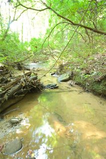 Lot 16 Hamilton Drive sold land listing in Equestrian Estates, Columbus, NC