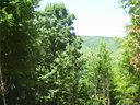 14 Bow N Arrow Cove sold home in Waynesville, SC