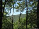 499 Peppervine Circle 85 sold home in Rosman, SC