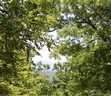 999 Prospectors Trail sold home in Black Mountain, SC