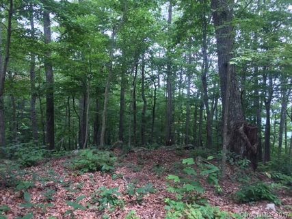 2 Ridge Drive sold home in Laurel Mountain, Saluda, NC